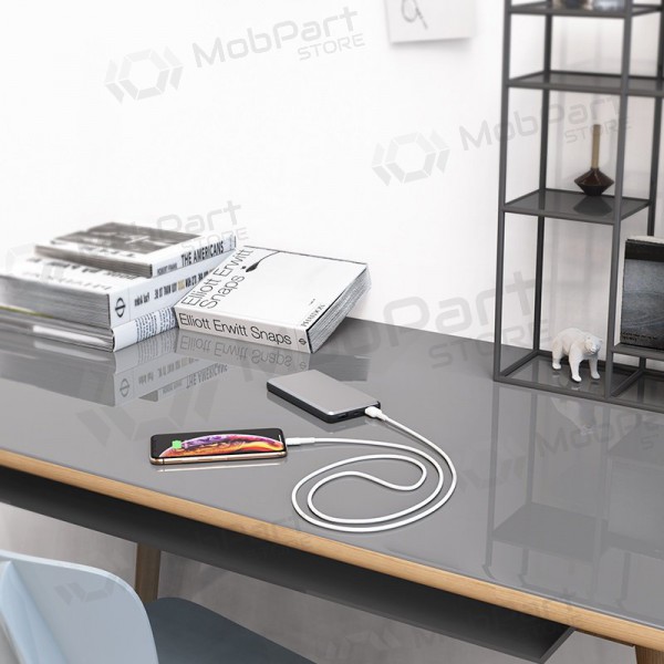 USB Kabel Borofone BX30 Lightning 1.0m (Weiß)