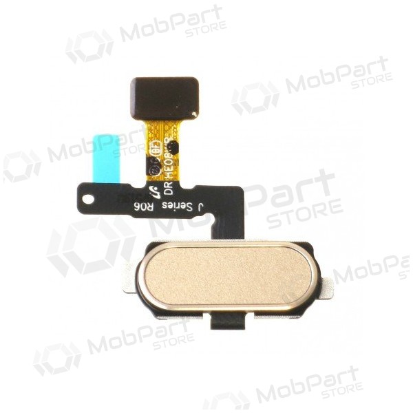 Samsung J530F Galaxy J5 (2017) / J730F Galaxy J7 (2017) HOME-Tastenanschluss (Golden )