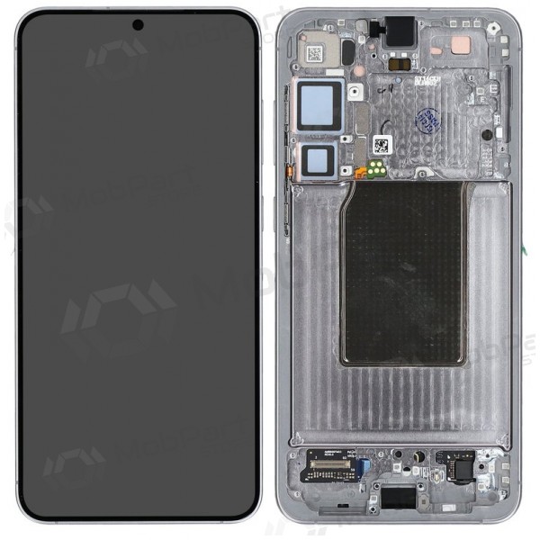 Samsung Galaxy S25+ Display (silber) (mit Rahmen) (assembled service pack)